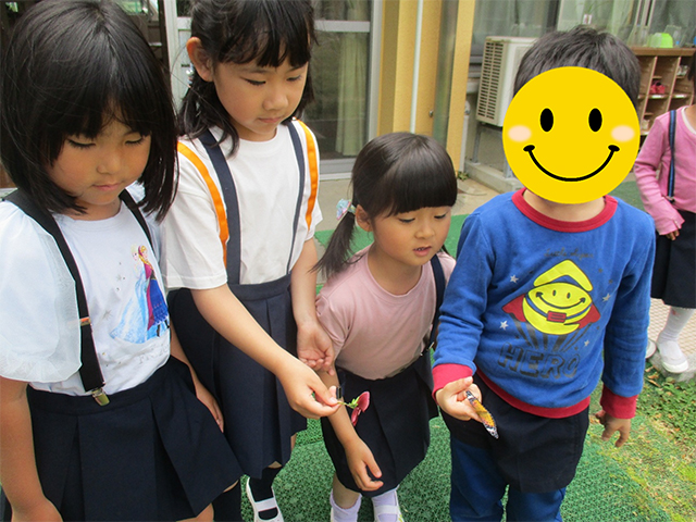 5月