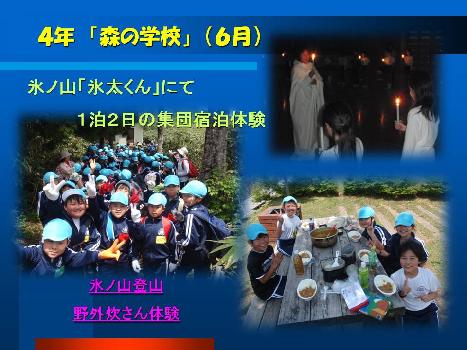 4年「森の学校」（6月）
